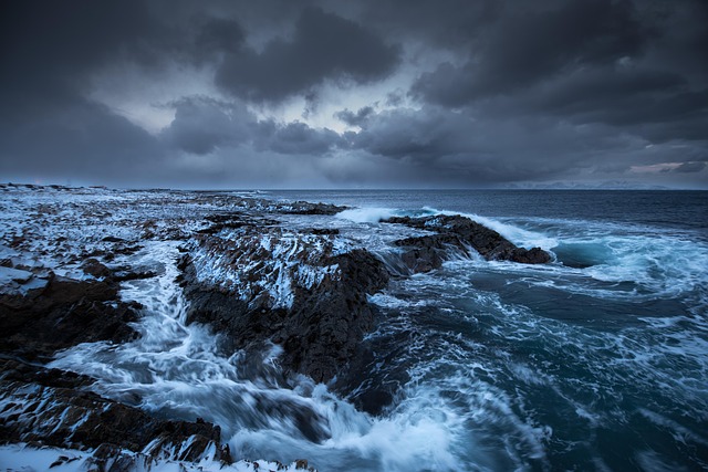 Відгук на книгу «Дикі дівчата» Рорі Павер