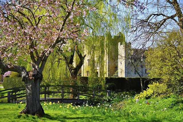 «Помічниця лиходія» Ханна Ніколь Мерер