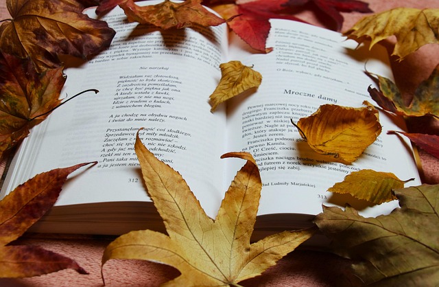 Читацька осінь 2025