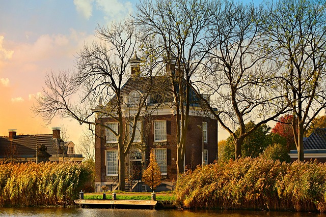 «Голландський дім» Енн Петчет